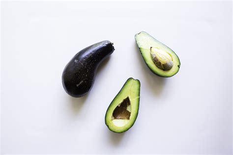 Mexicola Avocado Tree • Just Fruits and Exotics