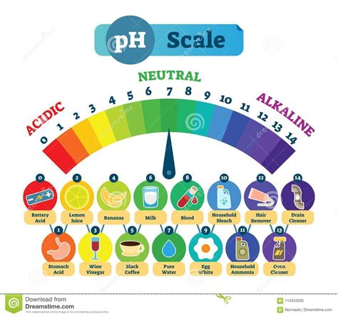 escala de ph con ejemplos | Enseñanza de química, Cosas de la escuela, Ciencias quimica