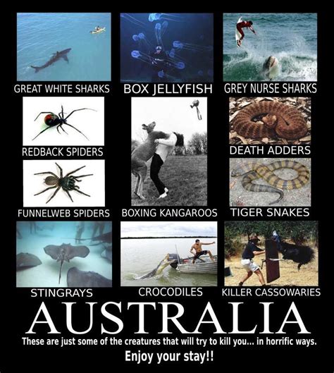 And Taipan snakes! And Blue-Ringed Octopus! And the magpies during mating season! They won't ...