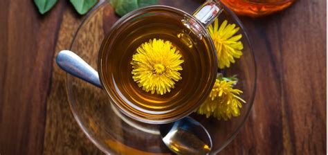 Dandelion Root Tea Benefits And More - Healthy Directions