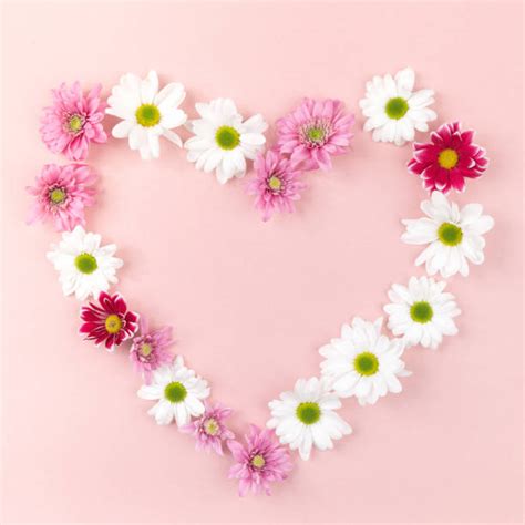 Heart Flower Stock Photos, Pictures & Royalty-Free Images - iStock