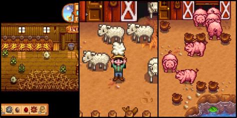 Stardew Valley: Animal Products, Ranked By Profitability