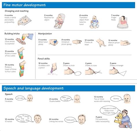 Pin by Judy Rolph on Concept of Growth and Development | Development ...