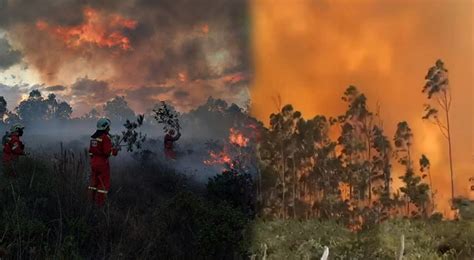 Incendio forestal en Amazonas: estos son los sitios arqueológicos que ...