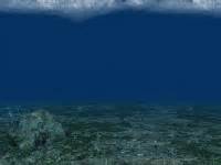 Unterwasser Meer Hintergrund Kostenloses Stock Bild - Public Domain Pictures