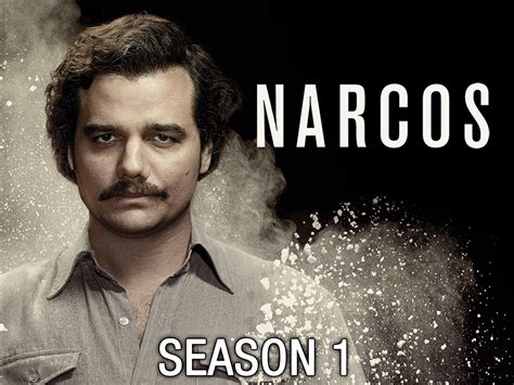 Scetticismo esposizione Esercizio narcos serie tv streaming Iscriversi Scettico scintilla