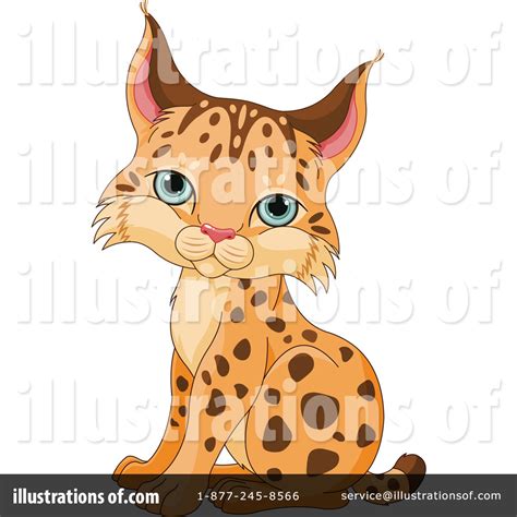 Bobcat clipart cute, Bobcat cute Transparent FREE for download on ...