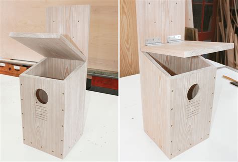 How to Build a Screech-Owl Nest Box | Audubon