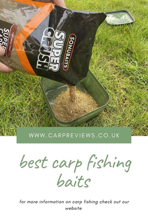 Best carp fishing baits | Carp fishing, Carp fishing bait, Carp fishing tips