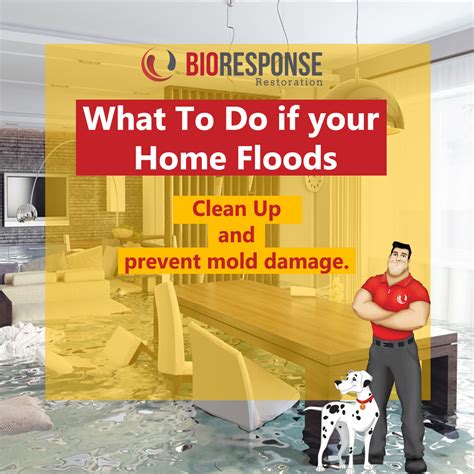 What to Do If Your Home Floods - BioResponse Restoration