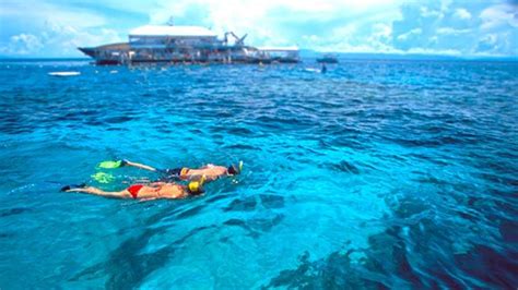 Quicksilver Cruises | Great Barrier Reef Day Trips | Port Douglas, Australia