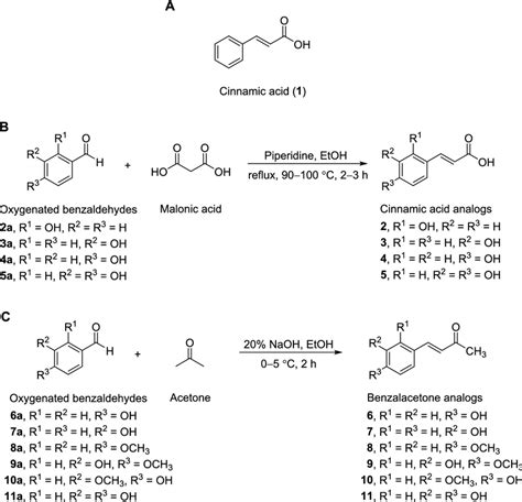 Structure of cinnamic acid (1) (A). Synthesis of cinnamic acid analogs... | Download Scientific ...