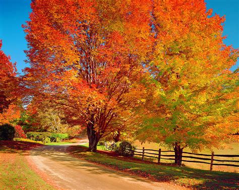 New England Autumn Country Road Photograph by Dszc - Fine Art America