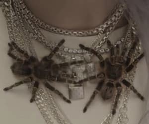 music, spiders, and billie eilish image | Billie eilish, Billie, Spider