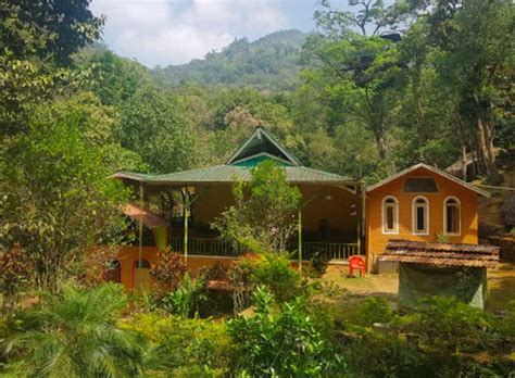 12 Tree Houses In Wayanad (2022) | Updated Deals, Latest Reviews, Photos