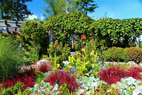 A midsummer stroll through the Coastal Maine Botanical Gardens - The ...