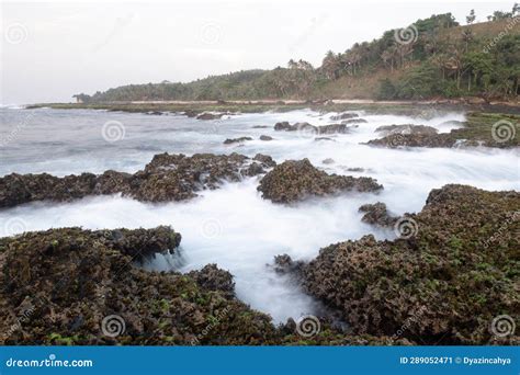 Sawarna beach stock image. Image of greenery, rapid - 289052471