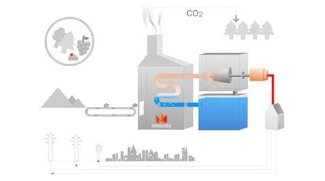 Biomass | Business energy solutions | E.ON