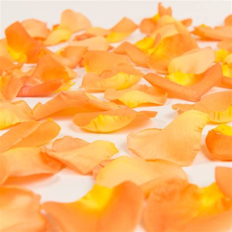 Orange Rose Petals - Approximately 3000 Units - Walmart.com - Walmart.com