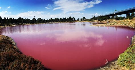 The pink lake in Melbourne. Salt Water Lake, Victoria. 🌴 Salt Water ...