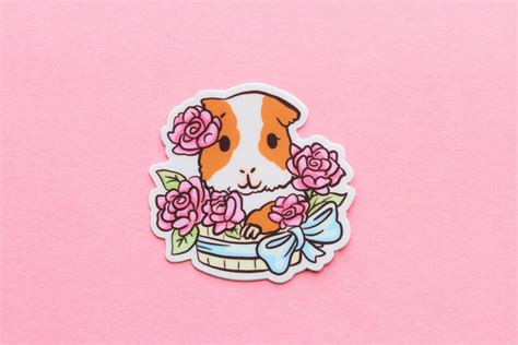 Guinea Pig Sticker Cute Stickers Vinyl Stickers Stickers for | Etsy