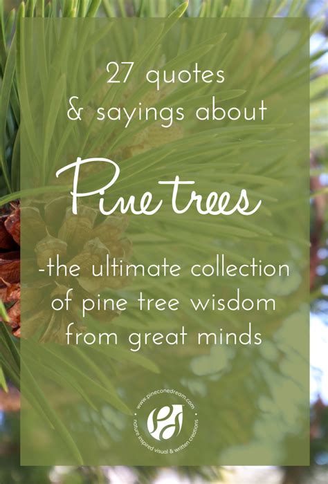 Tree Sayings - werohmedia