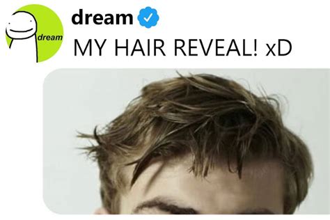 Dream's Hair Goes Viral