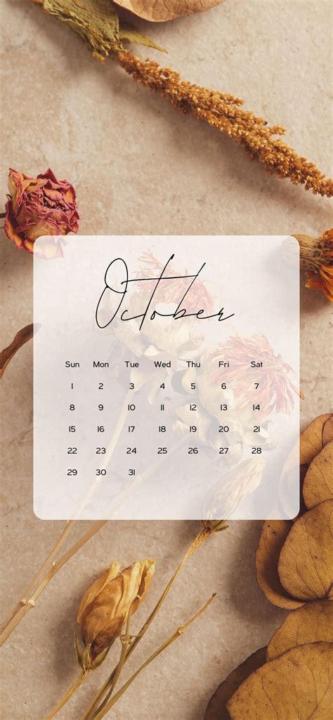 October Calendar Wallpaper Aesthetic Backgrounds (2024) - AnjaHome ...