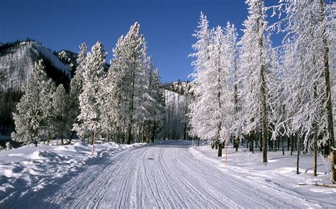 West Yellowstone Weather January at Ashley Ross blog