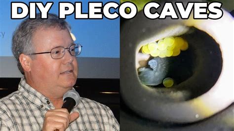 Secret To Making Cheap And Effective Pleco Breeding Caves - YouTube