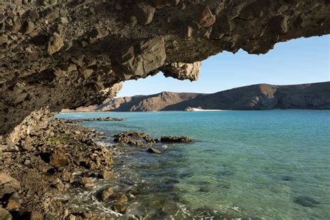 Discover the Wildlife & Beaches of Baja