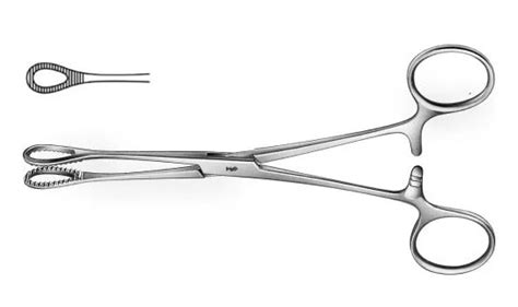 Sponge Forceps: Types, Uses, Pictures - Public Health