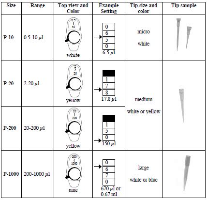 The Scientific Research Process: The Use of Micropipettes