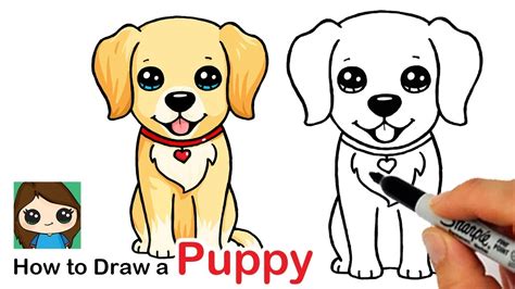 How to Draw a Labrador Golden Retriever Puppy Easy