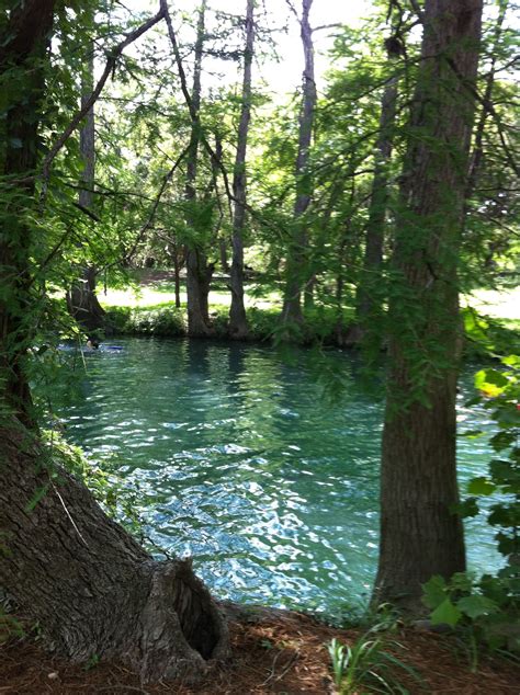 "The Blue Hole, Wimberley, Texas" - going swimming here was always one ...