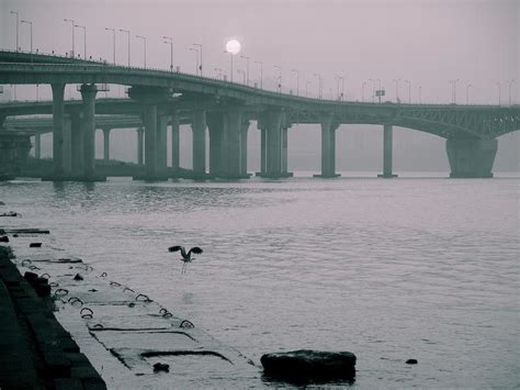 Random Image: Flyovers Fly Over Waters | the ablestmage press