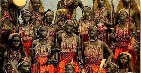 Dahomey Amazons