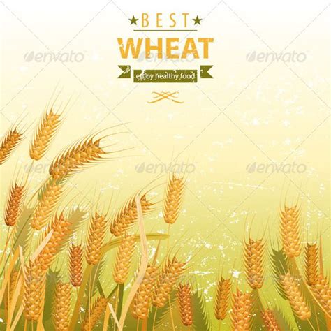 Wheat Field | Wheat fields, Vector shapes, Wheat