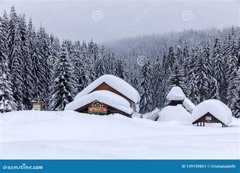 Cabin in the Woods, a House Covered in Snow Editorial Photo - Image of ...