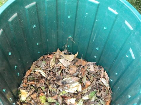 How to Make Organic Compost : 6 Steps - Instructables