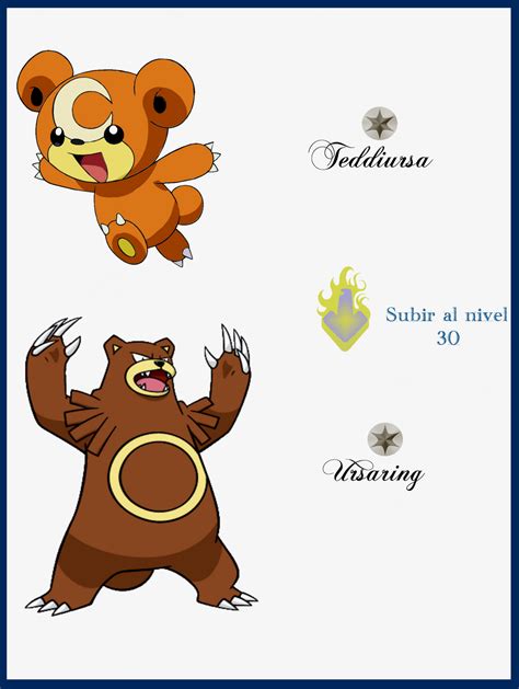 105 Teddiursa Evoluciones by Maxconnery on DeviantArt