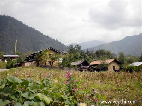 Houses at Dirang Valley | Veethi