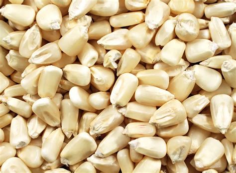 What Is Hominy and Why is it a Superior Version of Corn? — Eat This Not ...