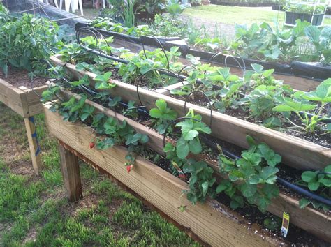 Specialty stacked bed for strawberries | Growing food, Vertical garden ...