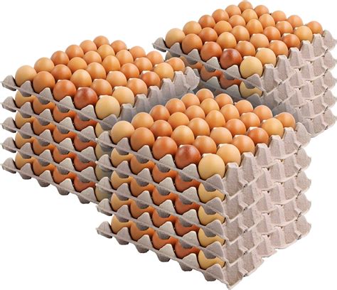 Stock Your Home 30-Cell Egg Crates (15 Pack) - Recyclable & Stackable Pulp Fiber Egg Flats for ...