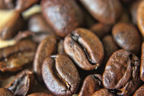 Macro Coffee Beans Free Stock Photo - Public Domain Pictures