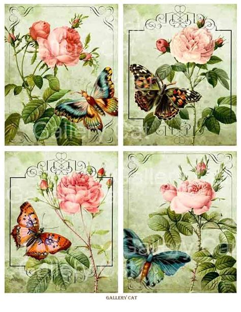 Pin su something about nothing | Decoupage immagini, Illustrazioni floreali, Disegno fiori