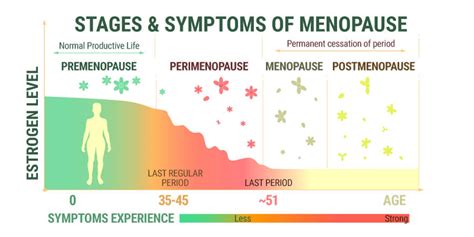 CBD and Menopause Symptoms: Key Details - RQS Blog