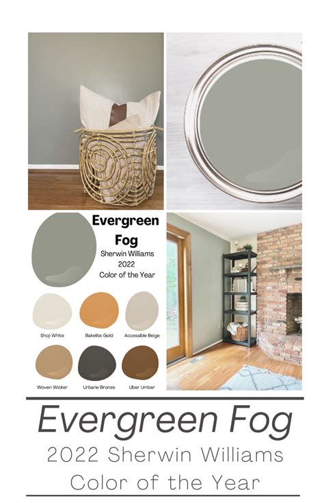 Introducing Evergreen Fog: SW 2022 Color of the Year | House color ...