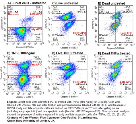 Caspase activity and Apoptosis - Flow Cytometry Core Facility